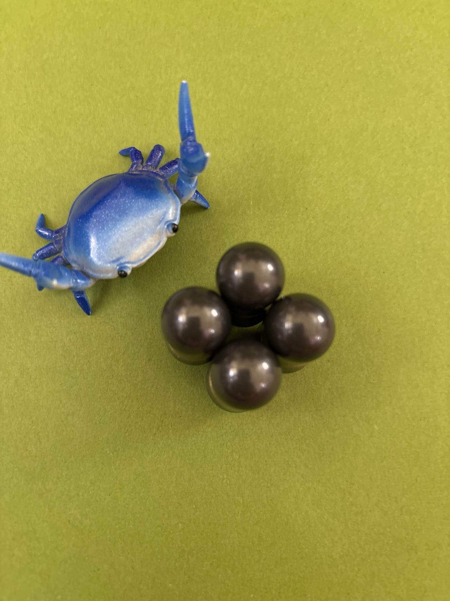 Magnus - magic bean - full zirc