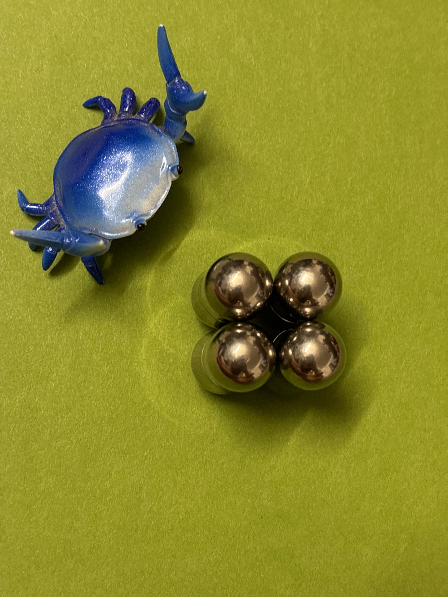 Magnus - magic bean - titanium / ti rings