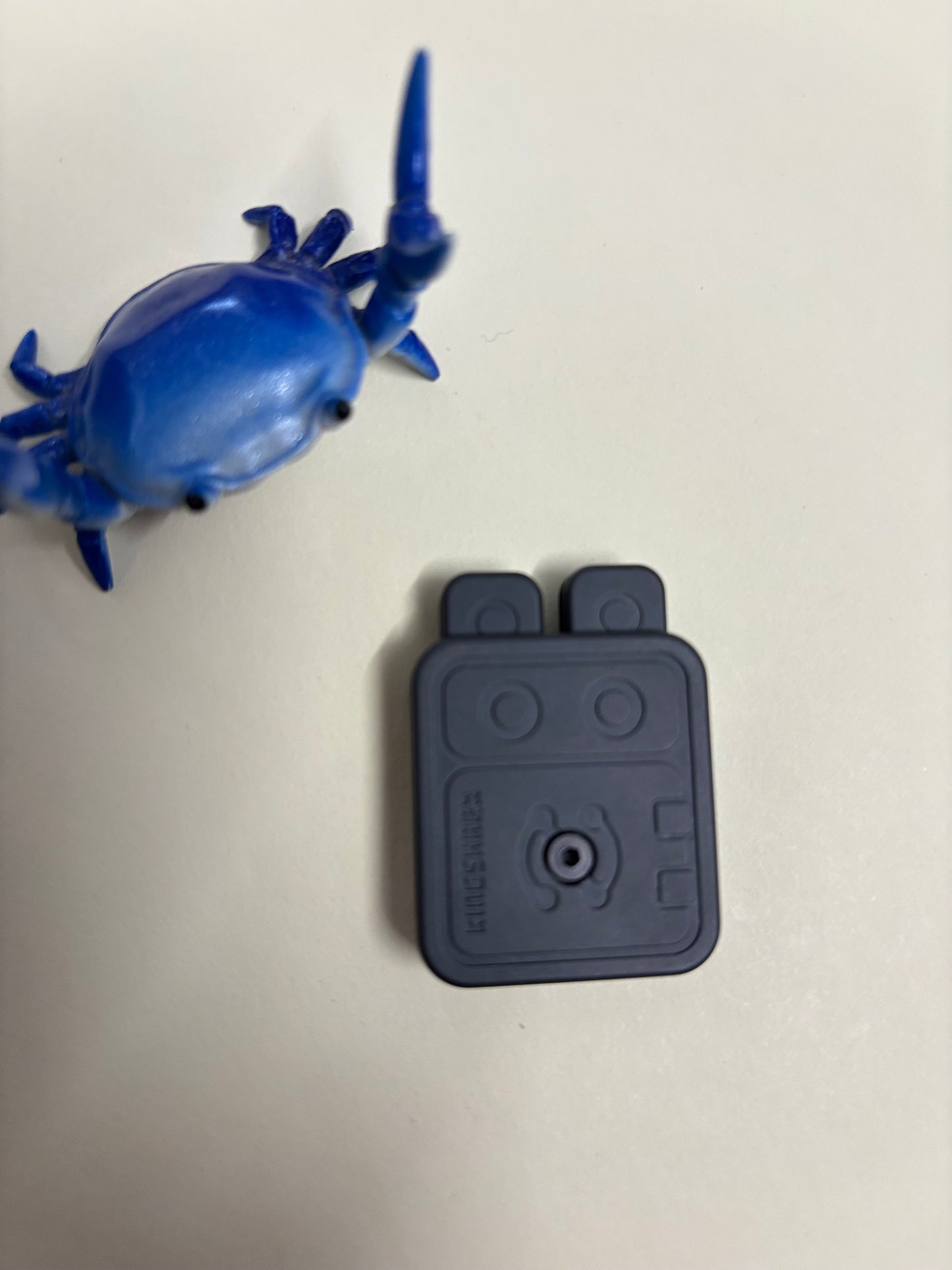 ACEDC rabbot - zirc - haptic toy