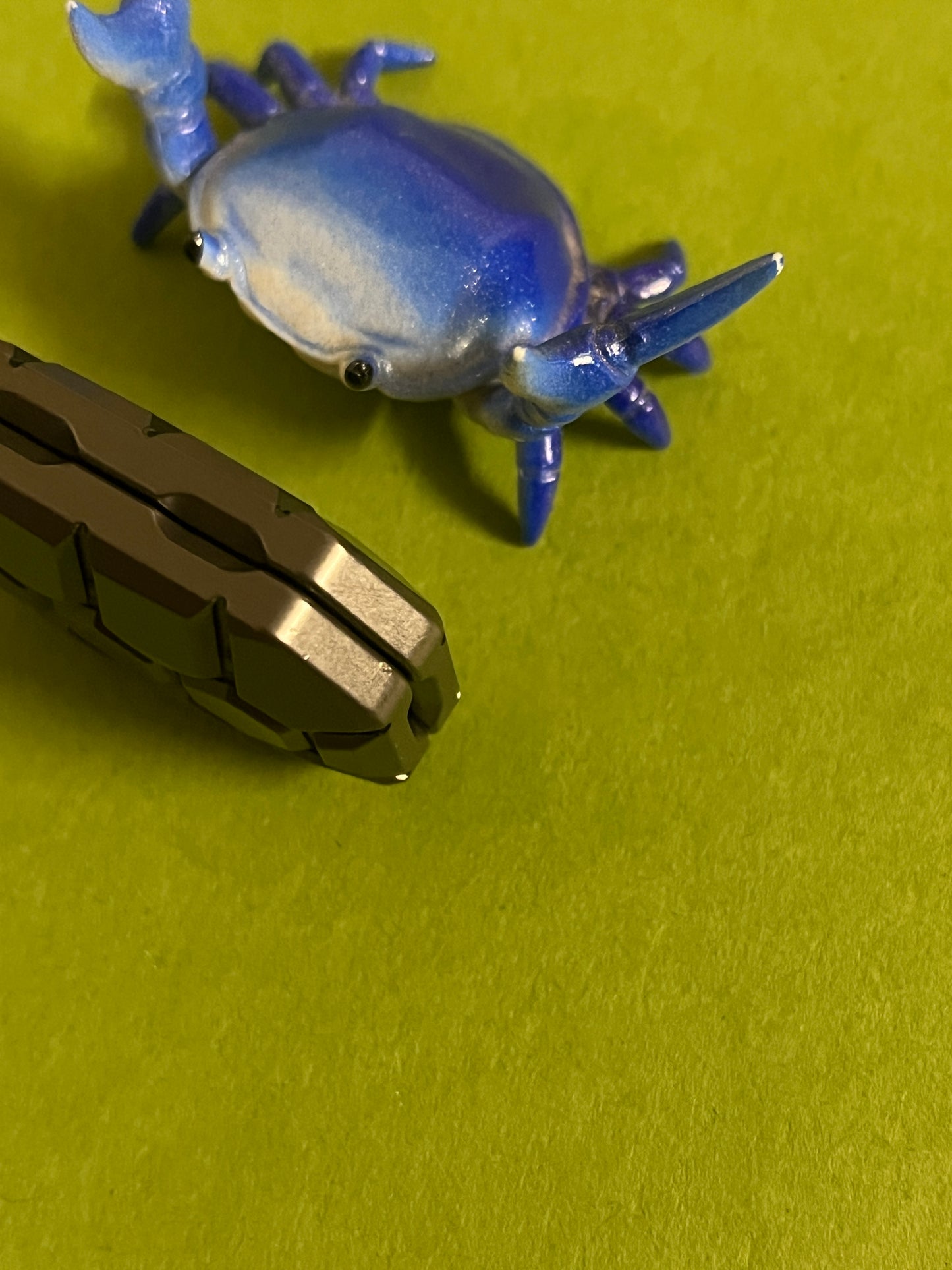 Magnus 2 click turtle slider - zirc - fidget toy