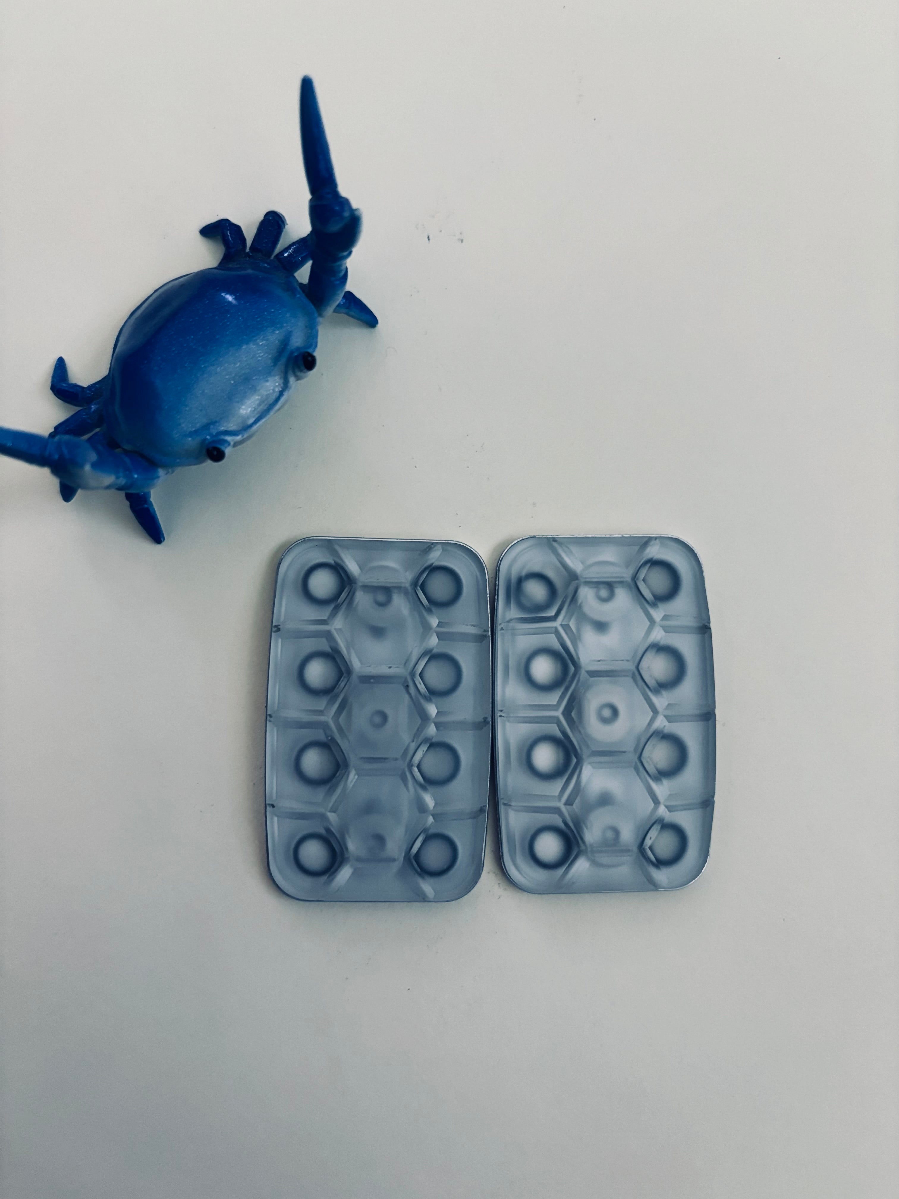 Magnus Mini Turtle Magnus maglab Resin - 3 click turtle slider - Resin/SS screw plate - f ...