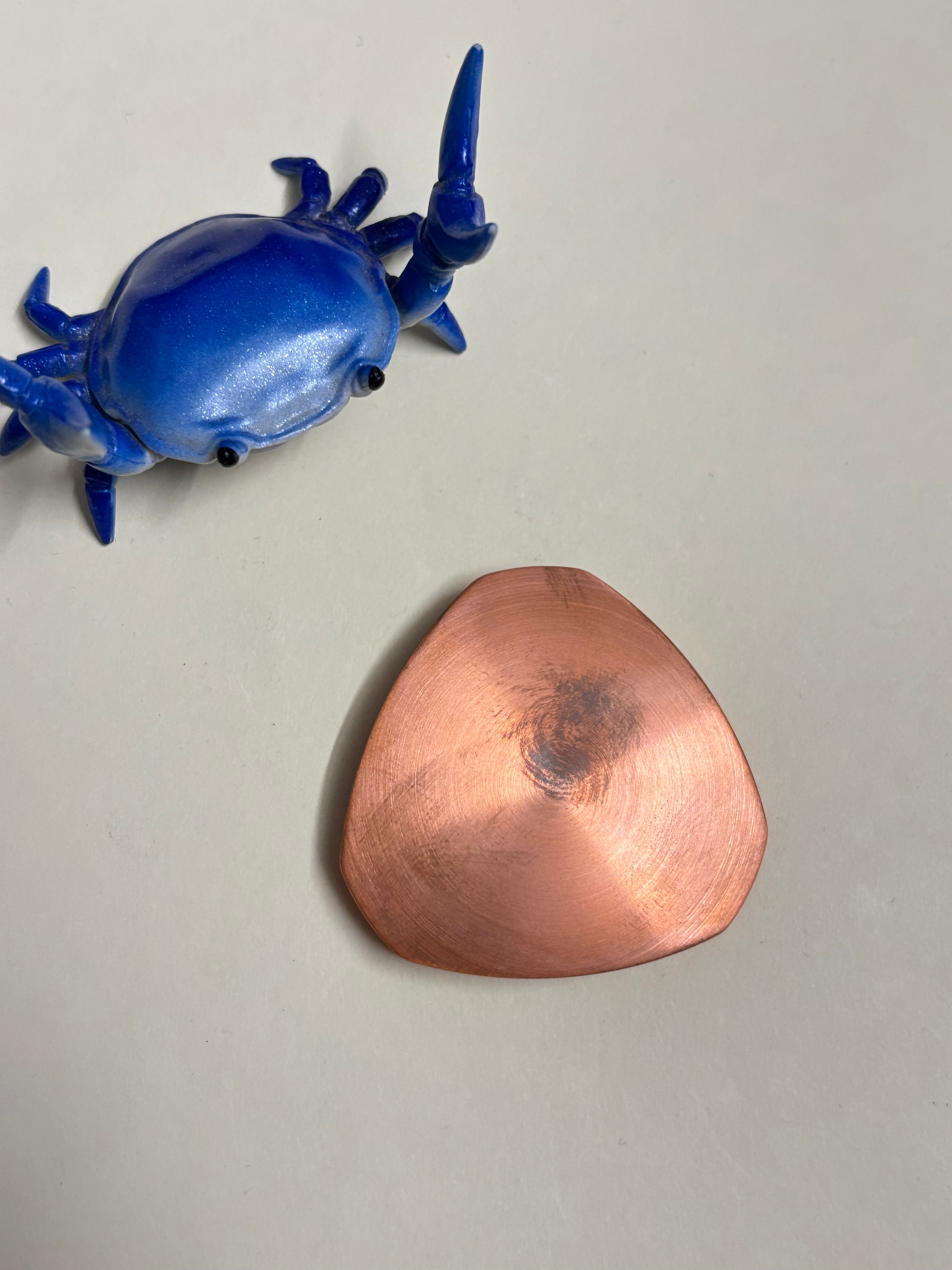 Indx Fluxx - copper - haptic coin - fidget toy – Plants Wake You Up