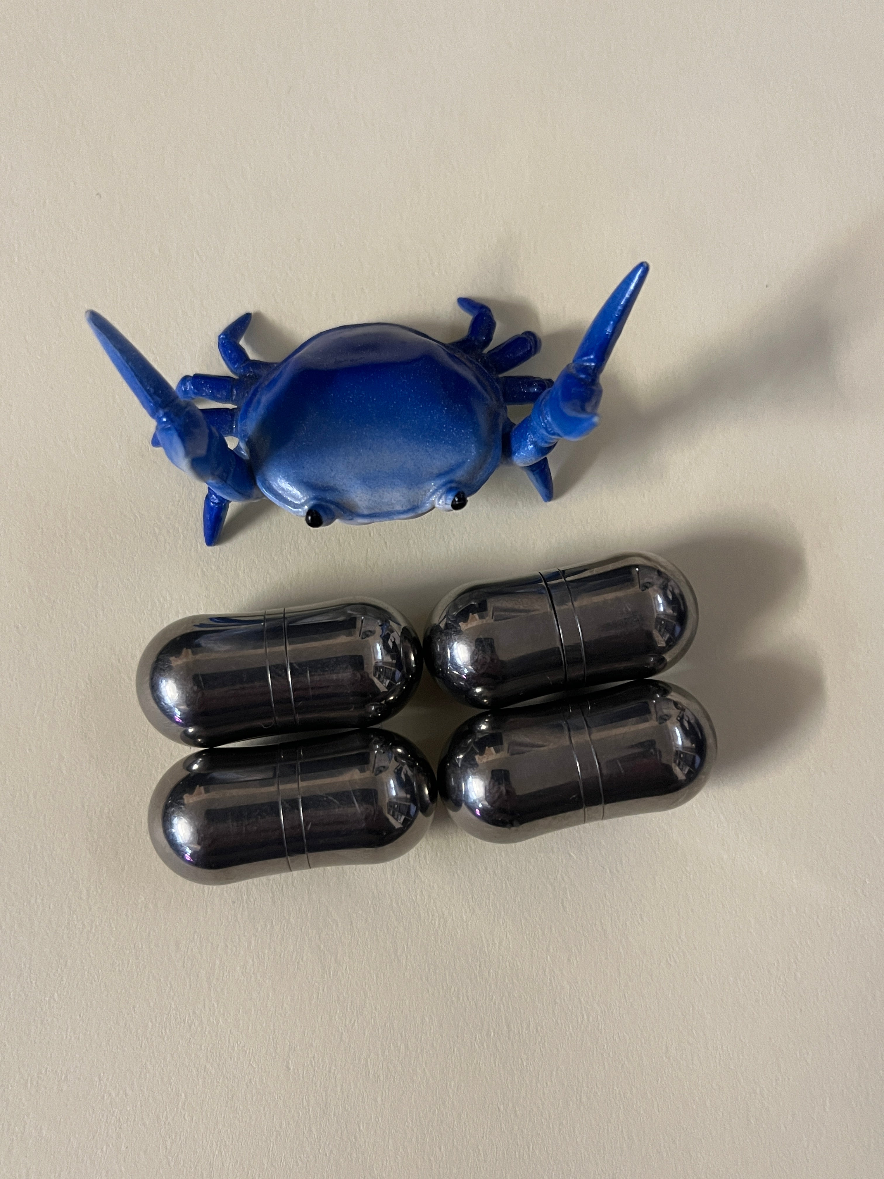 Magnus - magic bean - titanium / ti rings – Plants Wake You Up