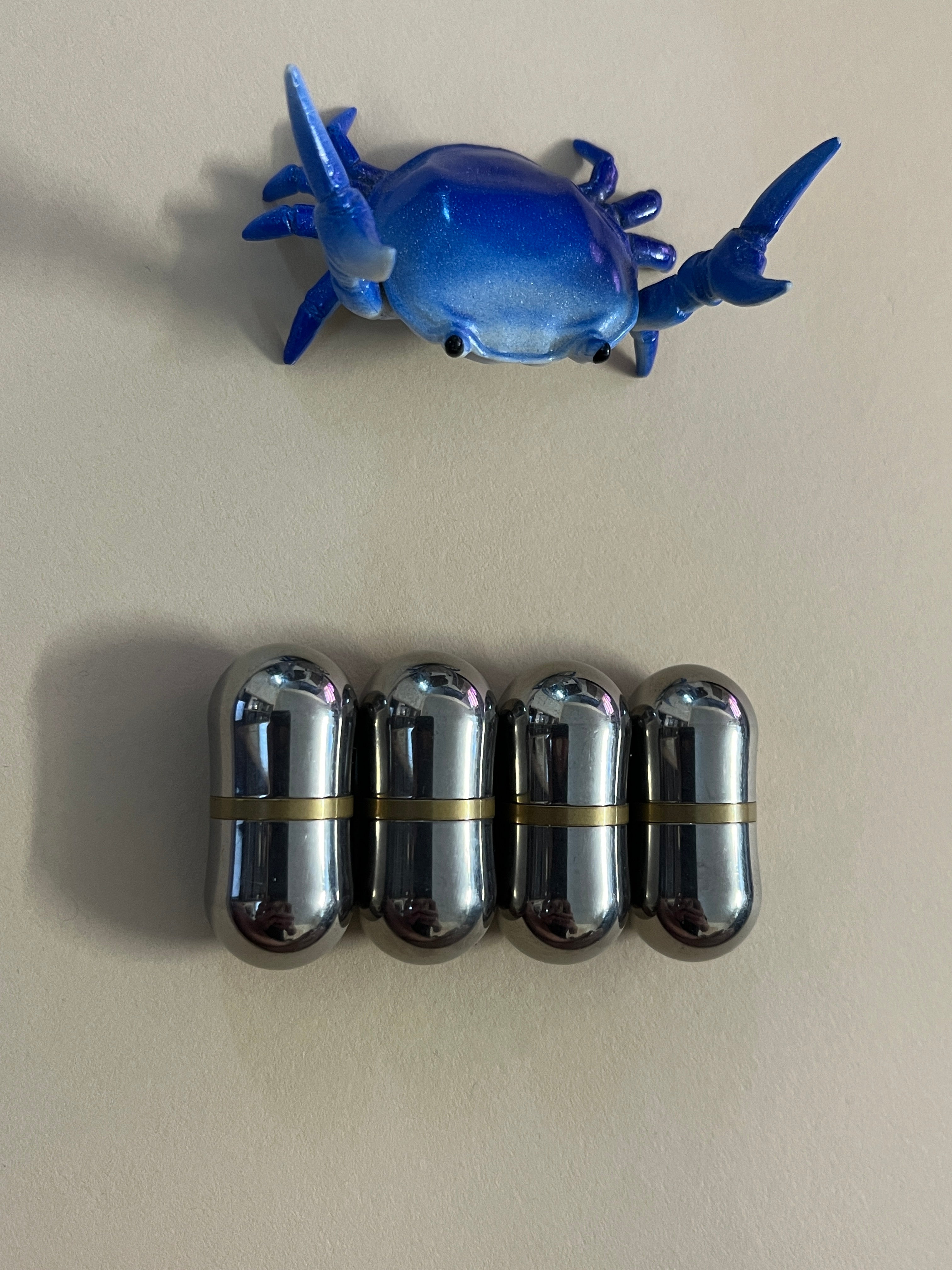 Magnus - magic bean - titanium / brass rings – Plants Wake You Up