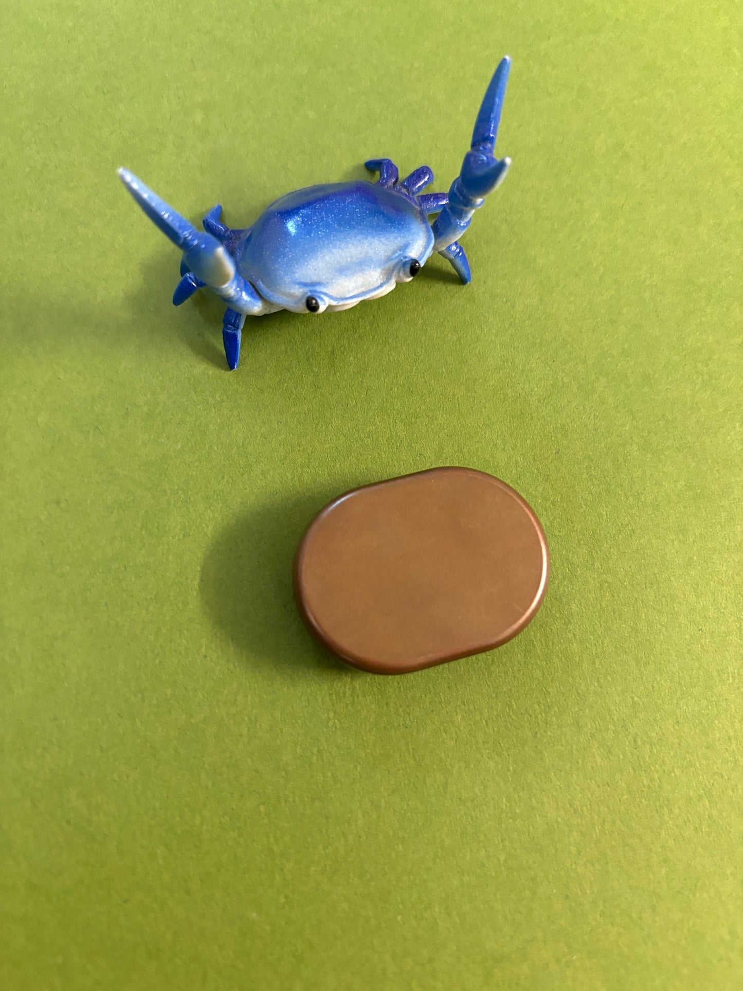 Two edc coracle - copper - Fidget toy