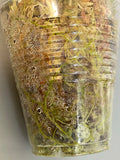 Hoya Patricia - Darwinii x Elliptica - has active growth