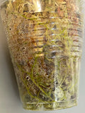 Hoya Patricia - Darwinii x Elliptica - has active growth